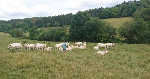 transition et urgence climatique pour Agriculture elevage